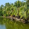 Mekong-Delta-Palm-Trees-730×410