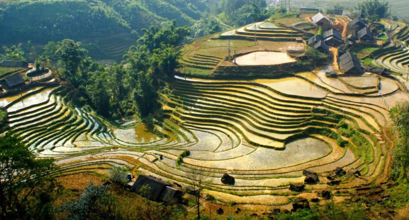 LAO CHẢI