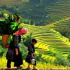 lao-chai-ta-van-5489112b6a87d